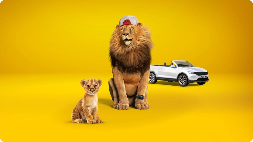 Illustration of a lion wearing a cap seated beside a cub, with a white convertible car in the background on a bright yellow backdrop.